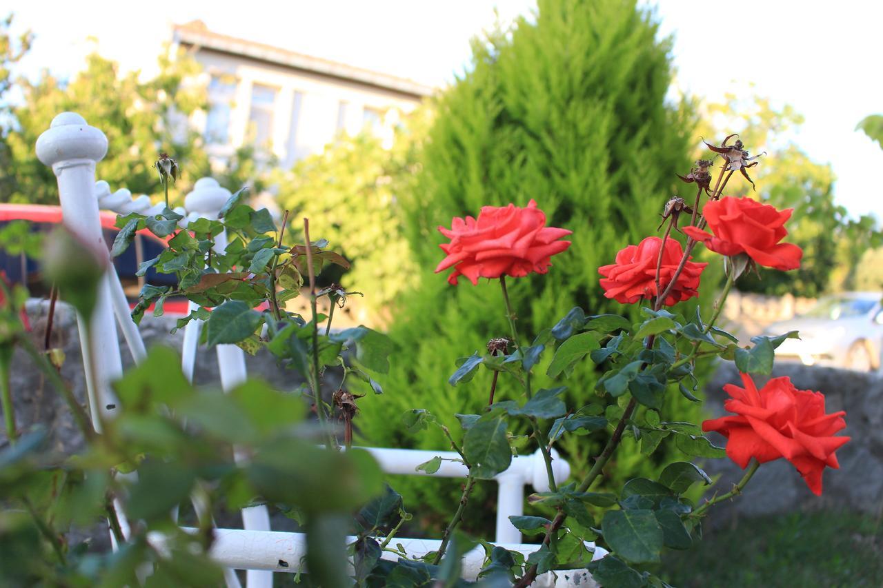 Rumeli Apart Hotel Gokceada ภายนอก รูปภาพ